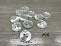 BX1007 Polyester Resin Two-hole Button IRIS Sub Photo