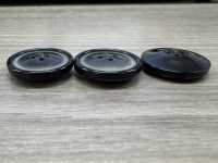 HB310 Real Buffalo Horn Horn, 4-hole Button IRIS Sub Photo