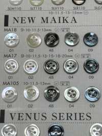 MA17 DAIYA BUTTONS Shell-like Polyester Button DAIYA BUTTON Sub Photo