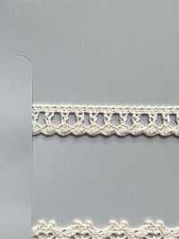 SIC-7327 Organic Cotton Torsion Lace/ 8mm SHINDO(SIC) Sub Photo