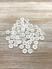 SW17-OUTLET Mother- Of-shell Button- Mother Of Pearl Shell IRIS Sub Photo