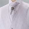 V-21 Made In Japan Formal Vest, Check Pattern, Purple