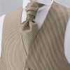 V-3004 Formal Vest Made In Japan Striped Gold