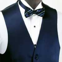 VANNERS-V-001 VANNERS Formal Vest Solid Navy[Formal Accessories] Yamamoto(EXCY) Sub Photo