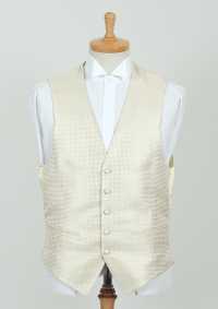 VANNERS-V-011 VANNERS Formal Vest Houndstooth Champagne Gold[Formal Accessories] Yamamoto(EXCY) Sub Photo