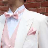 VBF-33 VANNERS Textile Used Bow Tie Dot Pattern Denim-like Jacquard Pink[Formal Accessories] Yamamoto(EXCY) Sub Photo