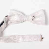 VBF-39 VANNERS Textile Used Bow Tie Paisley Pattern White[Formal Accessories] Yamamoto(EXCY) Sub Photo