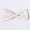 VBF-39 Bow Tie Made With VANNERS Fabric, Paisley Pattern, White