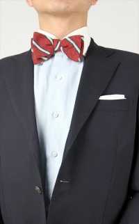 VMT-26 VANNERS Nep Silk Regimental Hand-Tied Bow Tie, Red[Formal Accessories] Yamamoto(EXCY) Sub Photo