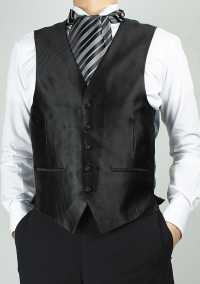 VAS-50 VANNERS Silk Ascot Tie Stripe Black[Formal Accessories] Yamamoto(EXCY) Sub Photo