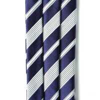 VAS-51 VANNERS Silk Ascot Tie Stripe Navy Blue[Formal Accessories] Yamamoto(EXCY) Sub Photo