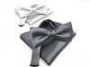 BFC-190 Bow Tie Pocket Pocket Square Set Made In Japan Silk Textile