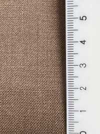 503-1-140 NIKKE NIKKE BEACH Brown No Pattern[Textile] NIKKE Sub Photo