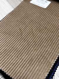 CD5501-BE Standard Japanese 8W Corduroy No Pattern Beige[Textile] Additional Images