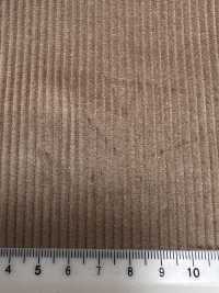 CD5501-BE Standard Japanese 8W Corduroy No Pattern Beige[Textile] Additional Images