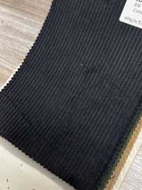 CD5501-BK 8W Corduroy C100 Black[Textile] HOSOI SYOJI Additional Images