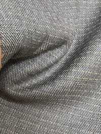 LV5198 LANVIN COLLECTION Light Gray X Beige Horizontal Stripes[Textile] HOSOI SYOJI Additional Images