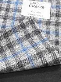 CR6620 CARNET Gray X Blue Check[Fabric] HOSOI SYOJI Additional Images