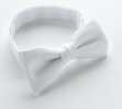 BF-W White Cotton Pique Bow Tie