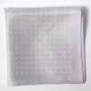 CFD-1LG Dot Print Silk Scarf Light Gray