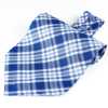 RAS-02 Ascot Tie Made Of Ring Heart Textile , Blue Check
