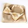 VBF-07 VANNERS Textile Used Bow Tie Striped Pattern Champagne Gold