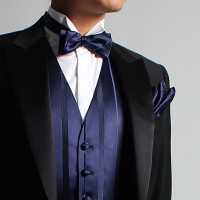 VBF-20 VANNERS Textile Used Bow Tie Striped Pattern Navy Blue[Formal Accessories] Yamamoto(EXCY) Sub Photo