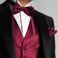 VBF-21 VANNERS Textile Used Bow Tie Striped Wine[Formal Accessories] Yamamoto(EXCY) Sub Photo