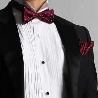 VBF-24 VANNERS Textile Used Bow Tie Paisley Dot Wine[Formal Accessories] Yamamoto(EXCY) Sub Photo